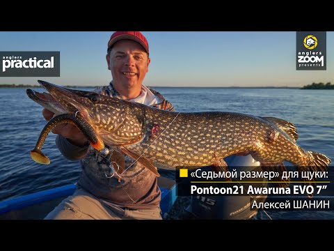 Видео: «Седьмой размер» для щуки: Pontoon21 Awaruna EVO 7’’. Алексей Шанин. Anglers Practical