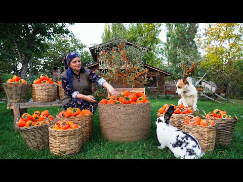 Видео: От Сада до Стола: Сбор Урожая Хурмы, Сушка и Приготовление Пирога