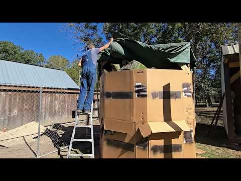 Видео: Мы СОХРАНИЛИ БАНАНЫ????