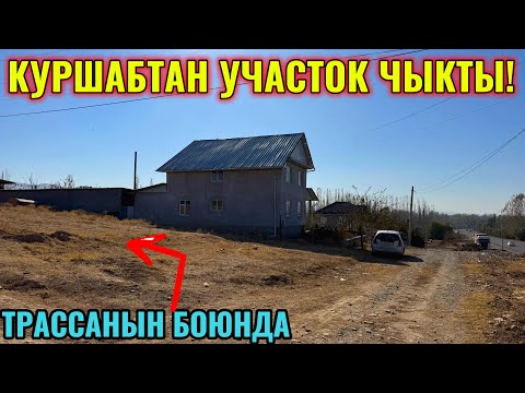 Видео: ЭКИ ЧЕК КАТАР САТЫЛАТ 🤯#байтв 