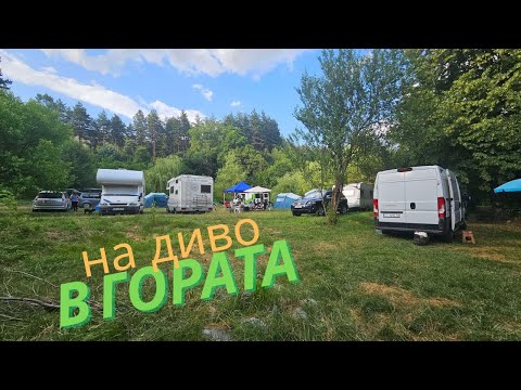 Видео: Уикенд на диво в гората