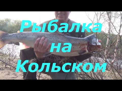 Видео: Рыбалка на Кольском . Удачное открытие сезона .  Первая семга  начало июня  2025 год .