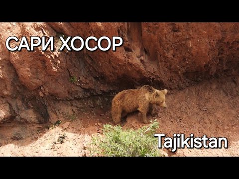 Видео: БАЛҶУВОН-САРИ ХОСОР-ТОҶИКИСТОН / BALJUVAN-SARI KHOSOR-TAJIKISTAN