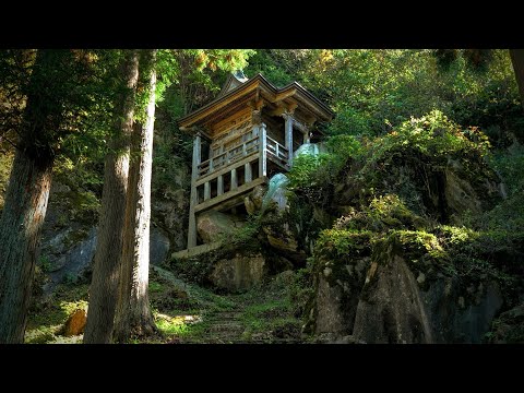 Видео: Посещение мистического мира Японии (святилища и храмы)