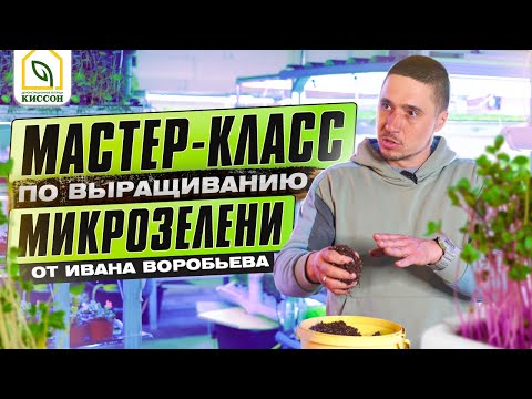 Видео: Мікрозелень. Майстер-клас з вирощування мікрозелені від Івана Воробйова.