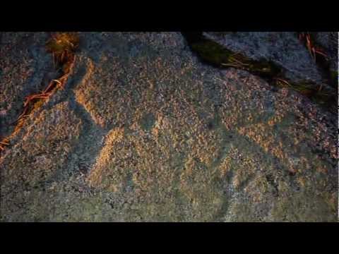 Видео: "Предки" - фильм о петроглифах и археологии Заполярья