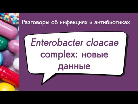 Видео: Enterobacter cloacae complex: новые данные