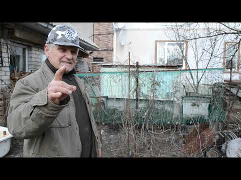 Видео: ЯГОДЫ ГОДЖИ: Осторожно! Как правильно выращивать и не допускать ошибки