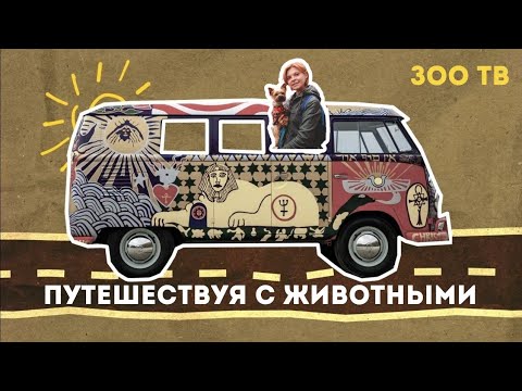 Видео: ЗОО ТВ Путешествуя с животными. С собакой на машине в Плёс. Woof Travel Vanlife