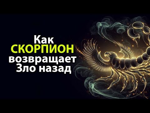 Видео: КАК СКОРПИОН - отправляет все зло обратно недругу.