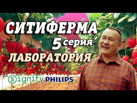 Видео: СИТИФЕРМА | Лаборатория | Philips, Signify 5 серия #218