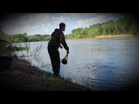 Видео: Рядом с кошелем опустил донку. Двоих взял