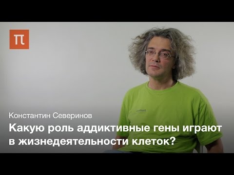 Видео: Аддиктивные гены бактерий — Константин Северинов