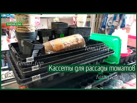 Видео: Кассеты для рассады томатов. Плюсы и минусы. Безопасность и практичность. Стоит ли покупать?