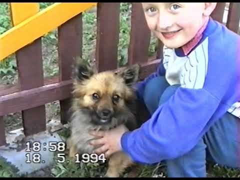 Видео: БЕЛАРУСЬ 90-х! Дача БРАТА! 4ч. Разлив СВИСЛОЧИ! Осиповичи 94!