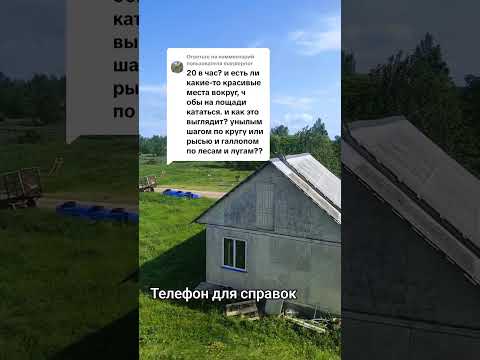 Видео: Страусиная ферма Минская область Слуцкий район деревня Лесище Кутузова 3 Б ☎️ +375 29 716 16 16 МТС