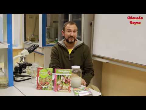 Видео: Барботирование семян без компрессора