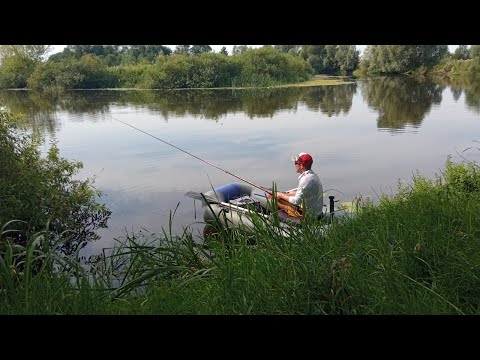 Видео: НАТЯГАВ МІШОК ЛОПАТ ЗА ТРИ ГОДИНИ. Рибалка на боковий кивок