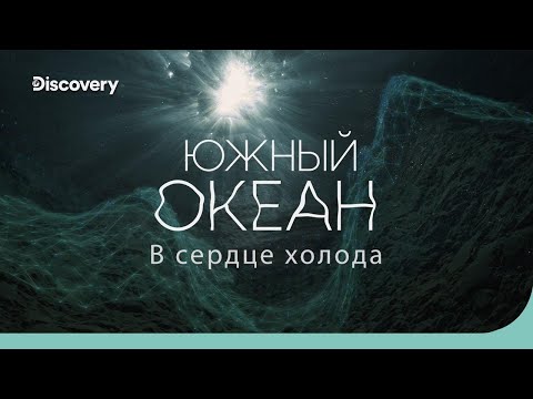 Видео: Южный океан: в сердце холода | На дне океана | Discovery