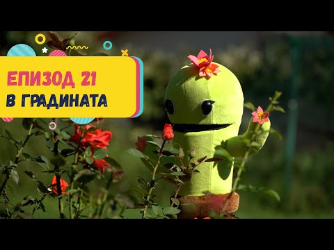 Видео: Арт Дъга - еп.21 - Добри съседи в ГРАДИНАТА