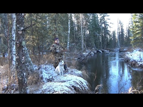 Видео: Последний чернотроп 2022.