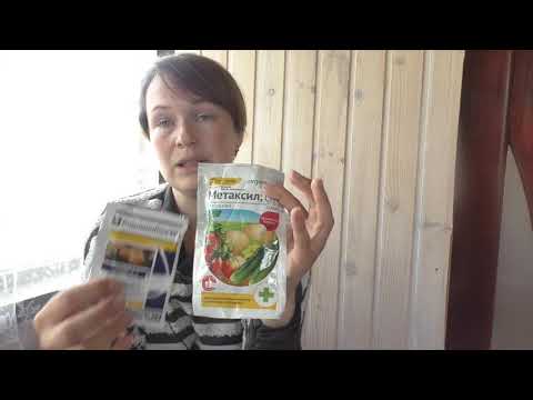 Видео: Обработка виноградника. Подход, сроки, препараты