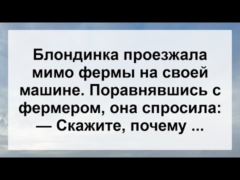 Видео: Блондинка на ферме ...! Подборка Самых Смешных Анекдотов для Настроения!