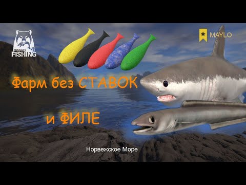 Видео: Как фармить на море без ставок | Русская Рыбалка 4 | РР4 MAYLO