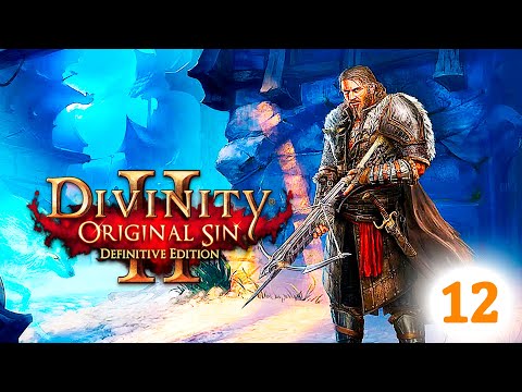 Видео: Прохождение Divinity: Original Sin 2 / №12