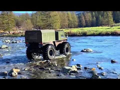 Видео: Охота на медведя - День 3