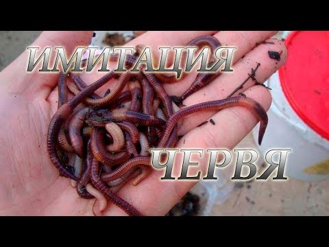 Видео: Сделал Навозного Червя! Мормышка-Мушка Навозный Червь