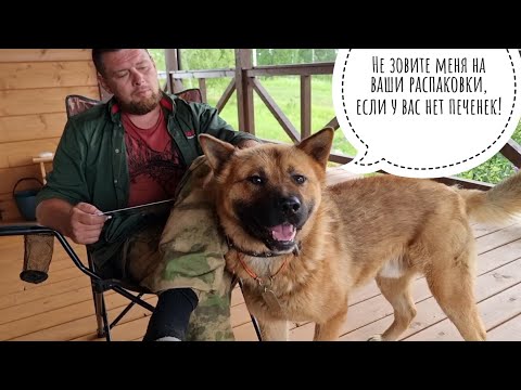 Видео: Распаковка посылочек из Москвы. Пёс Кубик бодрит атмосферу