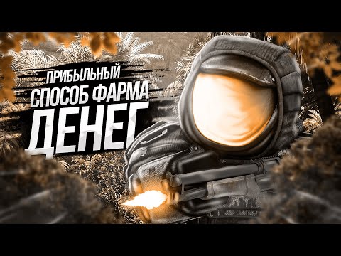 Видео: САМЫЙ ПРИБЫЛЬНЫЙ СПОСОБ ФАРМА ДЕНЕГ НА НОВОМ СЕВЕРЕ | STALCRAFT