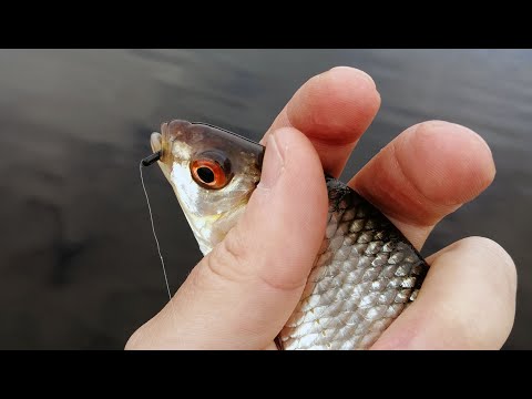 Видео: С ЛОДКИ - КАК ЗИМОЙ! Рыбалка с лодки на зимнюю удочку. Безмотылка, плотва и окунь!