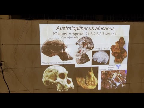 Видео: Танзания со Станиславом Дробышевским. День 3.