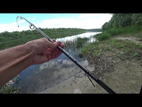 Видео: Рыбалка На Донки На Дону\Удивительная Природа\ Поклёвки Радуют.