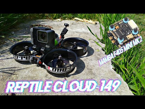 Видео: Дешманский набор Reptile CLOUD-149 Сборка и настройка синивупа на стеке MAMBA F405 Mini MK2