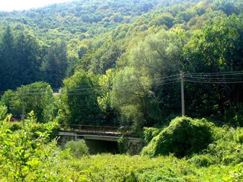 Видео: Манол Михайлов и Таня Величкова - Стойчо на Руска дума