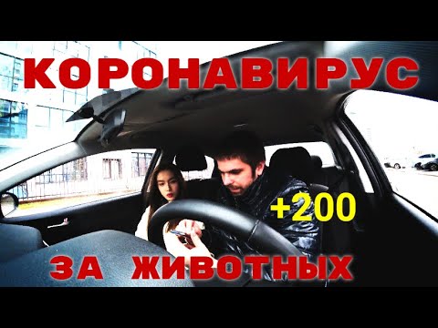 Видео: МИКРО КОНФЛИКТЫ В ТАКСИ ИЗ-ЗА ДОПЛАТ.....