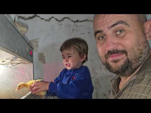 Видео: Зацелованные 325 серия, радость и драма в одной серии)