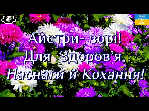 Видео: Айстри- зорі! Для  Здоров‘я, Наснаги й Кохання!