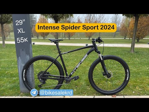 Видео: Обзор велосипеда Intense Spider Sport 2024