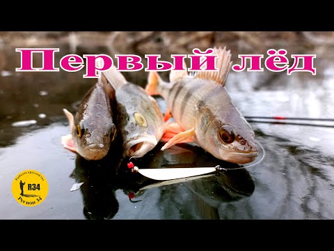Видео: Открытие сезона, первый лед. Рыбалка огонь, всегда бы так
