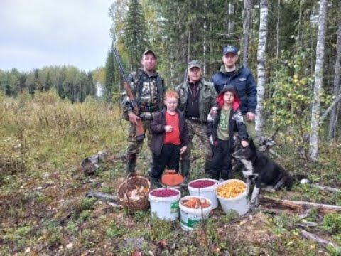 Видео: ТАЙГУ пилят,рубят!Лоси бегут!Лесные дороги скоро в асфальт закатают!Но все равно лес нас кормит.1ч.