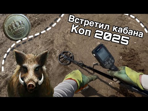Видео: Звери не хотели отдавать эти находки. Коп с металлоискателем 2025.