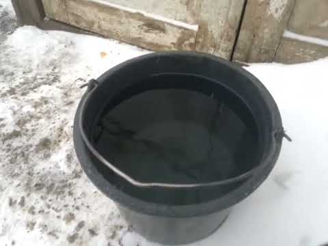 Видео: Как заставить курицу нестись