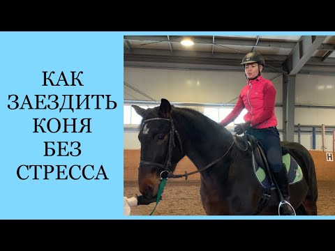 Видео: КАК ЗАЕЗДИТЬ МОЛОДОГО КОНЯ БЕЗ СТРЕССА