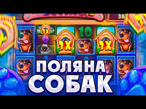 Видео: НАКОНЕЦ-ТО ДОЖАЛ СЛОТ И ПОЛУЧИЛ ЗАНОС В THE DOG HOUSE MEGAWAYS!!!///ЗАНОСЫ НЕДЕЛИ