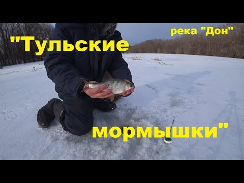 Видео: "Тульские мормышки", "Донище", река "Дон". (Стены рыбы под водой)