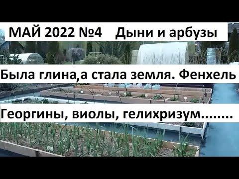 Видео: Май 2022 №4  Была глина, а стала земля. Высаживаем рассаду.